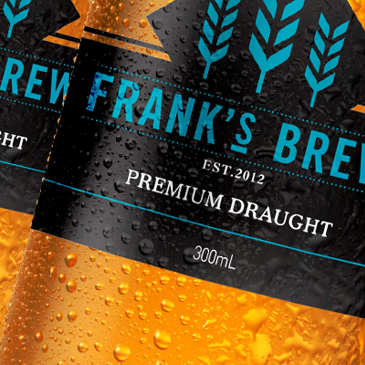 craft beer packaging design