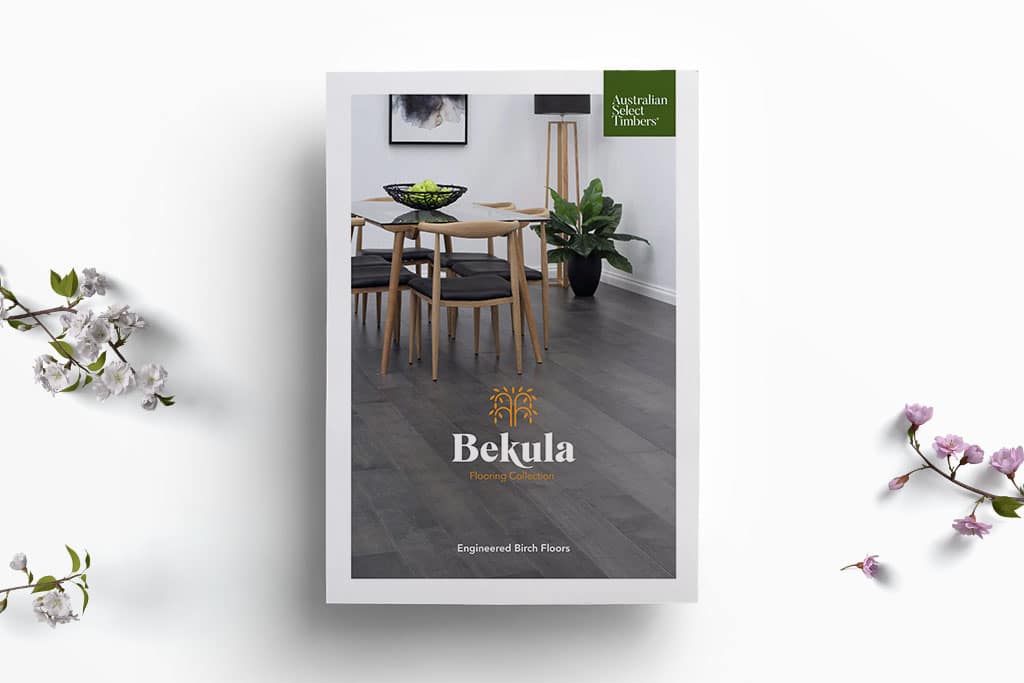 brochure cover bekula