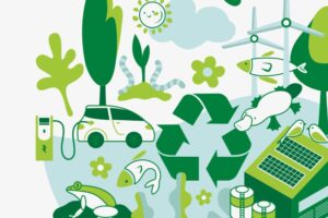 illustration and infographics services melbourne